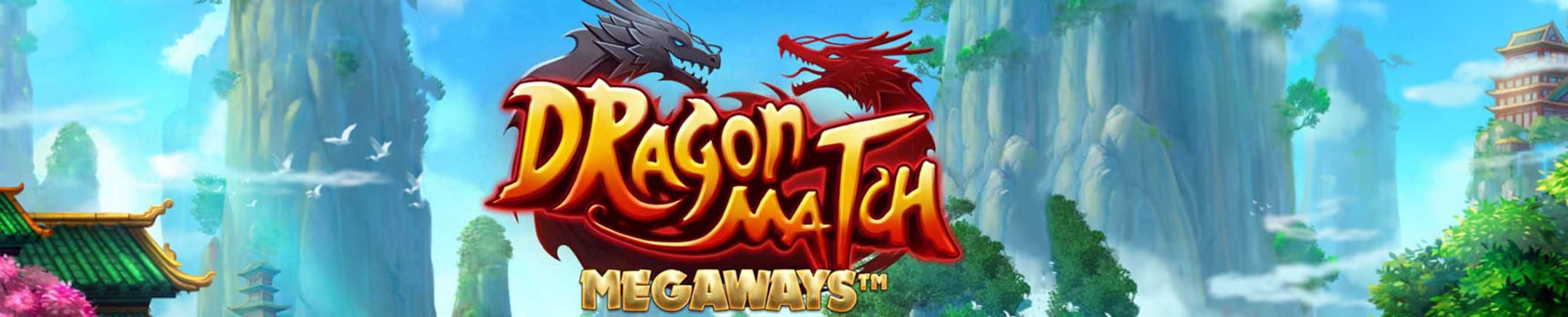 dragon match